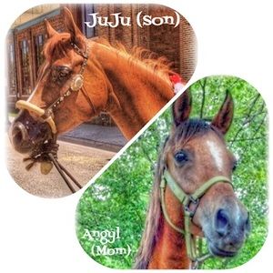 Meet your Posher, Nancy